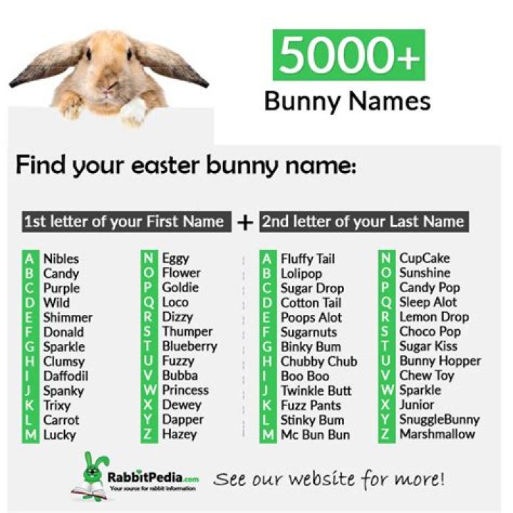 5000+ Most Popular Bunny Names (Top 250 Boy & Girl)