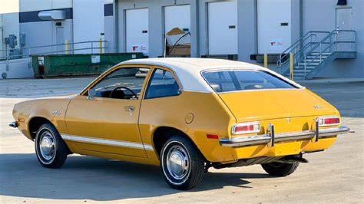 All About the Pinto! The Many Health Benefits of Pinto Beans In The