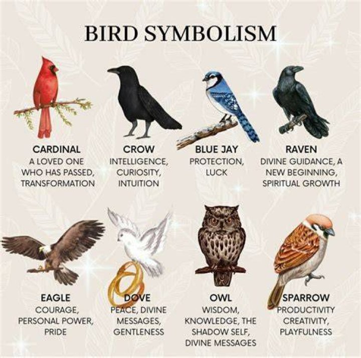 Birds symbolize a degree of freedom that we would nearly give our souls