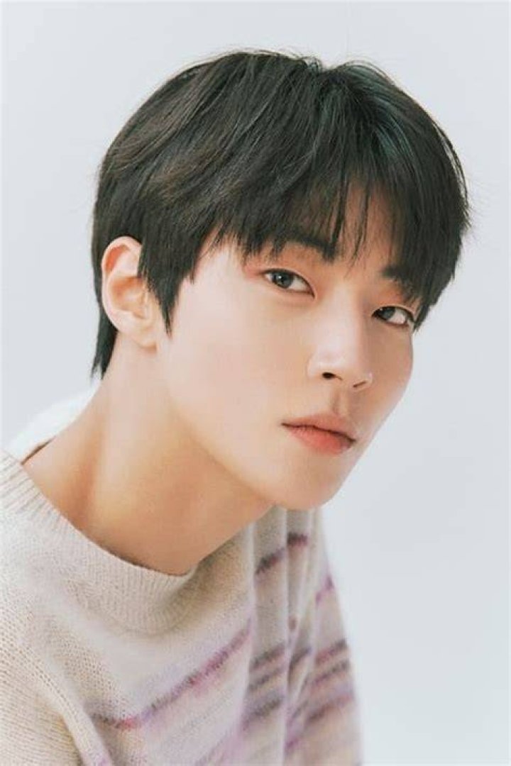 Exploring The World Of TV Shows Featuring Hwang In Yeop