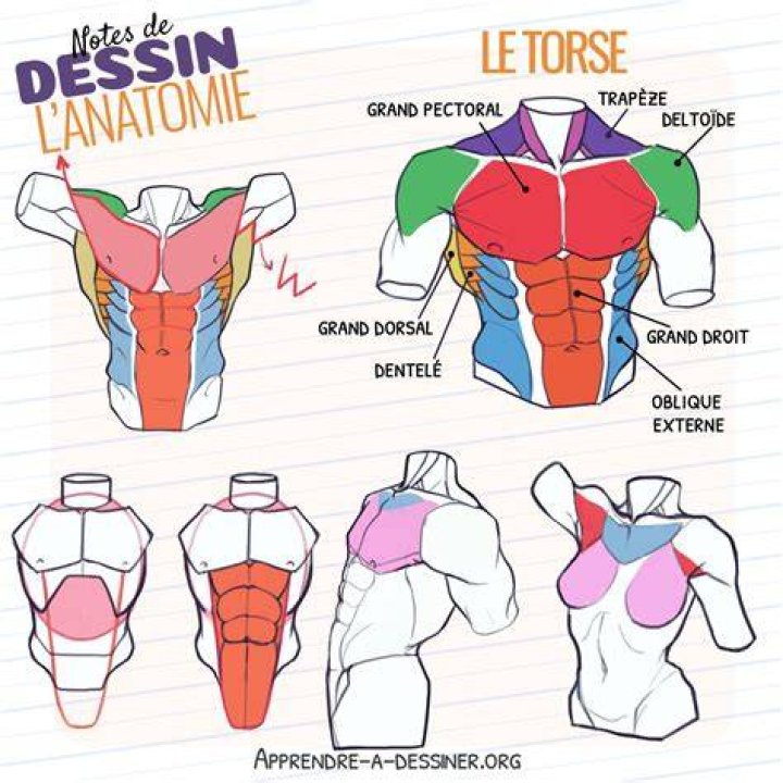 Le torse herculéen de Jason Momoa Jason Momoa en 2019 Jason