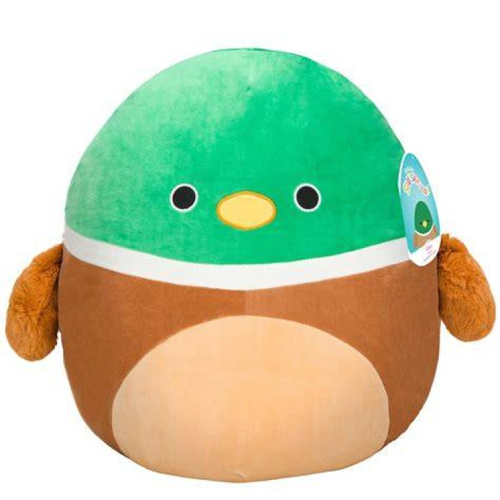 ‘These are super cute’ Squishmallow fanfare surges in Greeley
