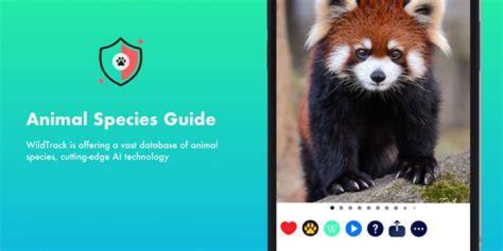 The Ultimate Zooechip Companion: Unleash The Secrets Of Wildlife Tracking